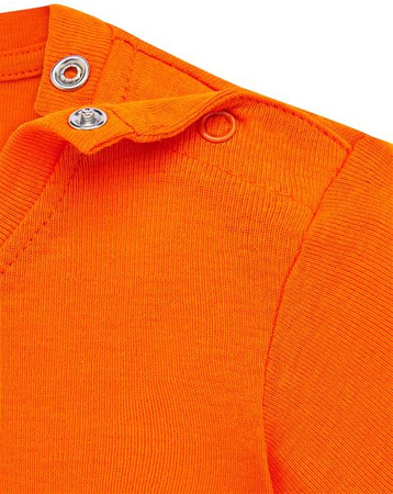 TSRB BODY OR 12 M